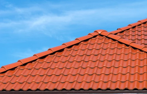 Roof Cleaning